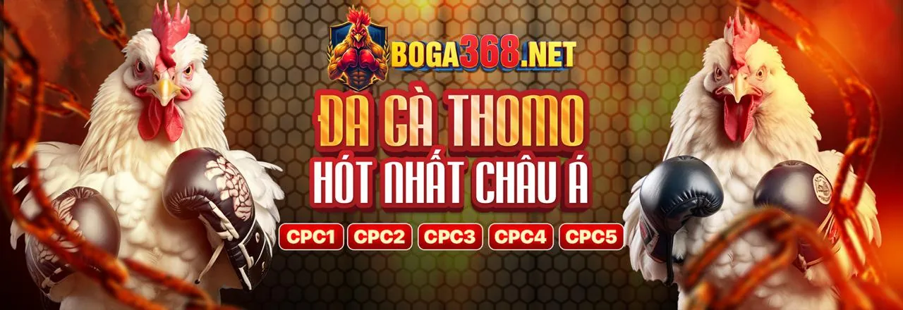 Phân tích chuyên sâu cá cược thể thao 8xbet web