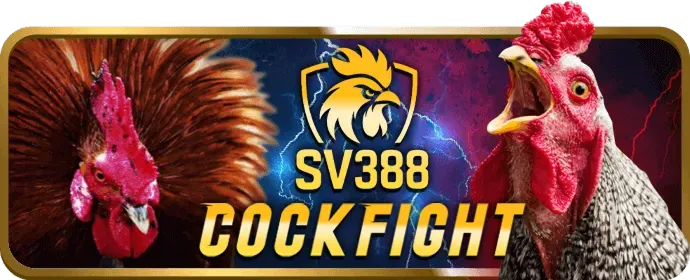Khuyến Mãi VIP 8xbet Web